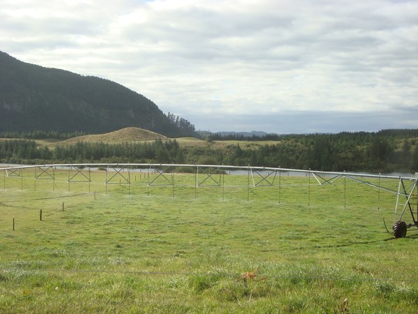 Crafar farms &#8211; the biggest single receivership sale of farming units ever seen in New Zealand. 
